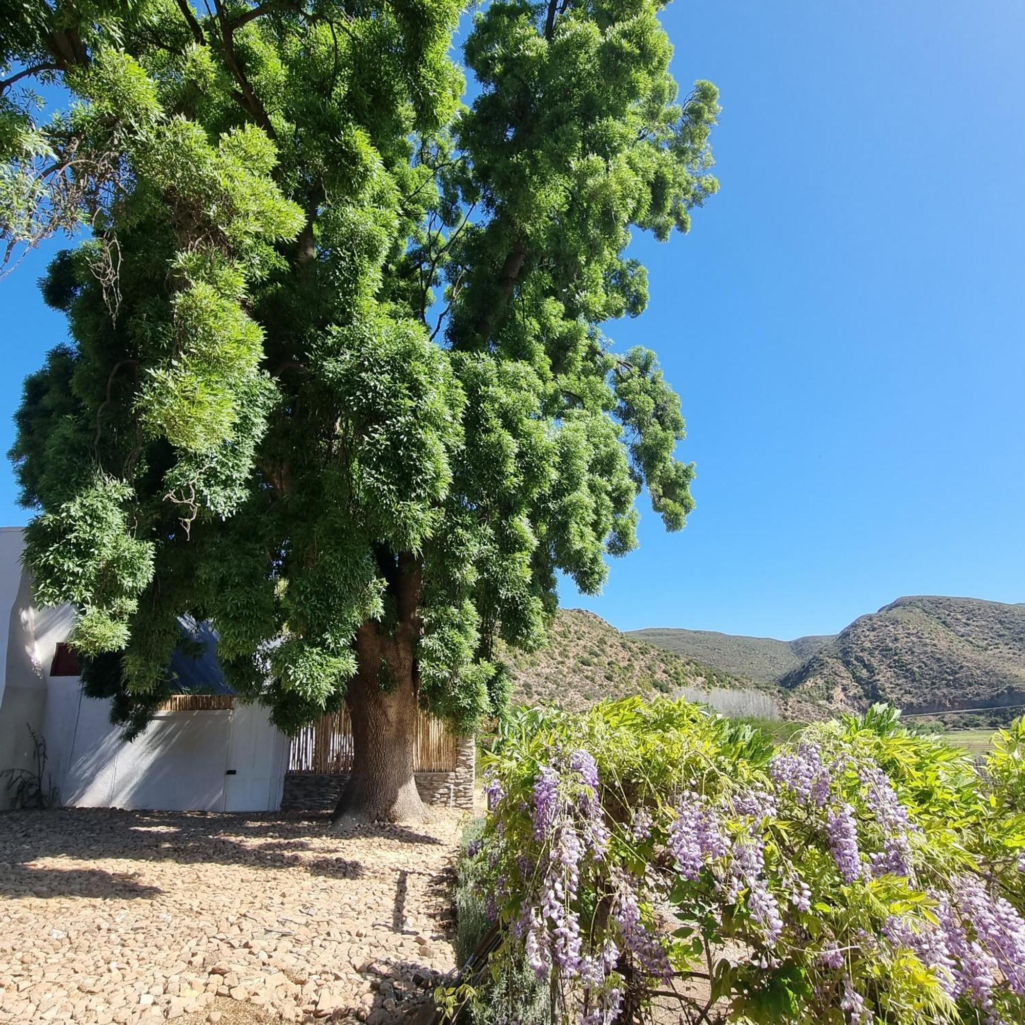 De Kombuys Oudtshoorn Εξωτερικό φωτογραφία